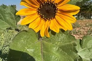 267 N 300 W, Parowan, UT 84761 - Photo 25