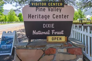 1174 E 120 S, Pine Valley, UT 84781 - Photo 83