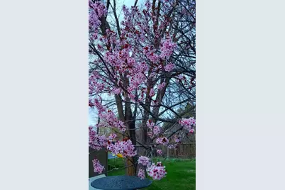 150 W 300 S, Parowan, UT 84761 - Photo 35