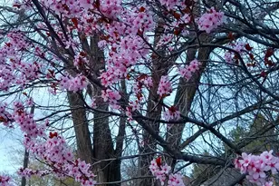 150 W 300 S, Parowan, UT 84761 - Photo 35