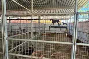 1601 S 2500 E, New Harmony, UT 84757 - Photo 53