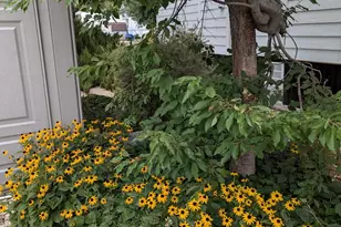 503 Rhonda, Parowan, UT 84761 - Photo 41