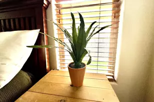 345 N 2450 E, Saint George, UT 84790 - Photo 9