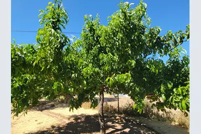 65 E 300 S St, Parowan, UT 84761 - Photo 59