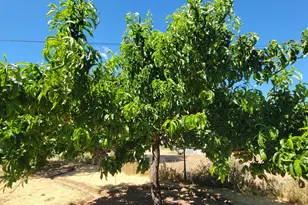 65 E 300 S St, Parowan, UT 84761 - Photo 59