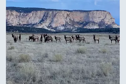 1520 Johnny Brown Parkway #24, Kanab, UT 84741 - Photo 23
