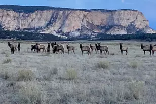 1520 Johnny Brown Pkwy, Kanab, UT 84741 - Photo 23