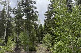 429 N Aoki Michi Rd, Brian Head, UT 84719 - Photo 9