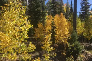 429 N Aoki Michi Rd, Brian Head, UT 84719 - Photo 53