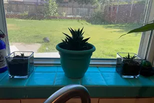 1112 Tamarisk Dr, Saint George, UT 84790 - Photo 21