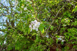 298 N 900 W, Cedar City, UT 84721 - Photo 47