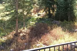 651 South Snowflake Lane, Brian Head, UT 84719 - Photo 23