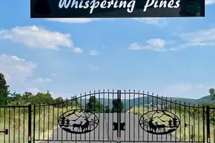 234 N Whispering Pines, Virgin, UT 84779 - Photo 17