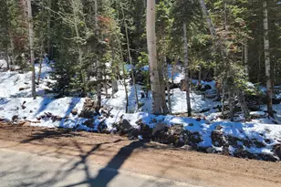 641 N Utah Hwy143, Brian Head, UT 84719 - Photo 1