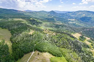 1651 N Dry Lks Rd, Brian Head, UT 84719 - Photo 51