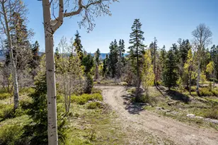 345 N Ter Dr, Virgin, UT 84779 - Photo 3