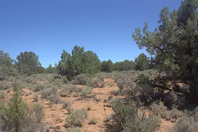 Null Juniper Road, Dammeron Valley, UT 84783 - Photo 11