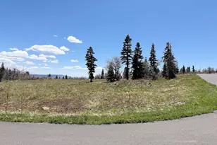 403 W Blue Spruce Dr, Virgin, UT 84779 - Photo 1