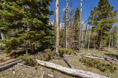 Clear Creek Estates, Panguitch, UT 84759 - Photo 13
