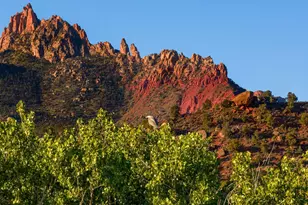 2428 Zion Park Blvd, Springdale, UT 84767 - Photo 31