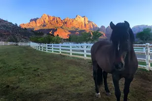 2428 Zion Park Blvd, Springdale, UT 84767 - Photo 5