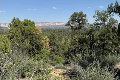 Mile 51 Highway 9 East Zion 40 Acres, Orderville, UT 84758 - Photo 13