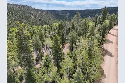 175 S Lupin Ln, Duck Creek, UT 84762 - Photo 15