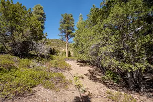 3706 S Aspen Way, Summit, UT 84772 - Photo 25