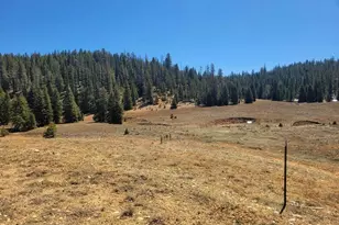 520 N Grassy Trl, Duck Creek, UT 84762 - Photo 1