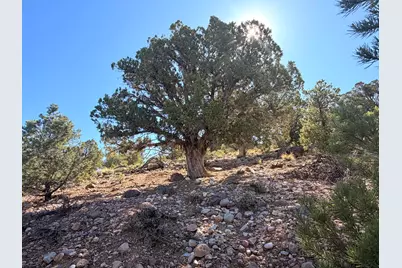 1037 S Canyon Dr, Cedar City, UT 84720 - Photo 5