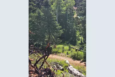 6065 W Brook Ln, Duck Creek Village, UT 84762 - Photo 11