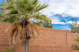 4263 S Painted Finch Dr, Saint George, UT 84790 - Photo 35