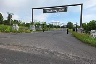 Lot 10 Spring Dr, Virgin, UT 84779 - Photo 1
