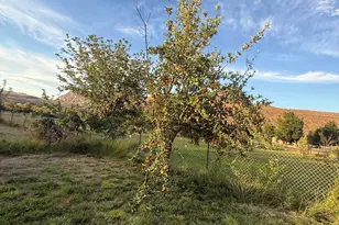 596 S Westfield Rd, Toquerville, UT 84774 - Photo 9