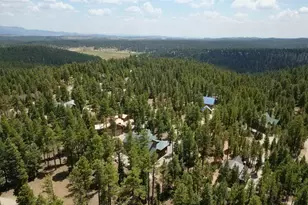 1525 N Henry Rd, Duck Creek, UT 84762 - Photo 47