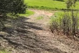 38 N Box Cyn Rd, Virgin, UT 84779 - Photo 23