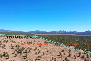 N 23886 N 6450 E E, Cedar City, UT 84721 - Photo 33