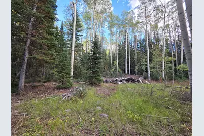 214 E Deer Trail Rd, Brian Head, UT 84719 - Photo 3