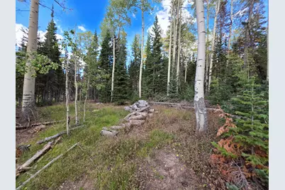 214 E Deer Trail Rd, Brian Head, UT 84719 - Photo 11