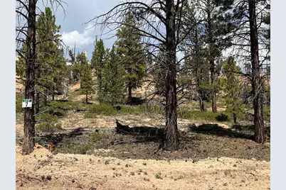 Elk Ridge Estates Lot # 7 Phase 6, Alton, UT 84710 - Photo 3