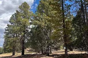 Elk Ridge Estates, Alton, UT 84710 - Photo 1
