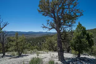 1735 W Pinyon Hls Rd, Hatch, UT 84735 - Photo 21