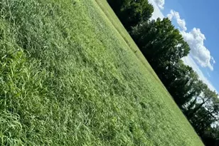 84 Spotted Acres Farm Ln, Dover, DE 19904 - Photo 15