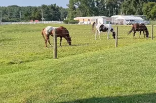 84 Spotted Acres Farm Ln, Dover, DE 19904 - Photo 19