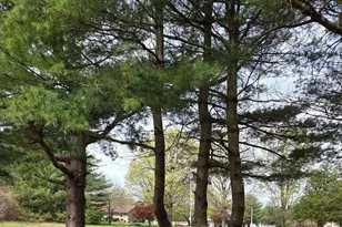 938 Church Hill Rd, Milford, DE 19963 - Photo 35