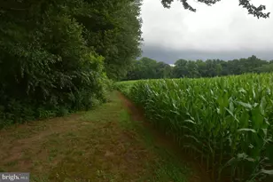 263 Smoky Ln, Smyrna, DE 19977 - Photo 49