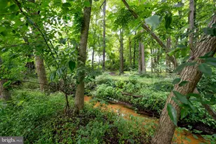 169 Princess Ann Ave, Viola, DE 19979 - Photo 23