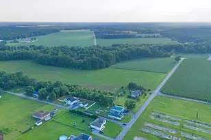 54 Minner St, Houston, DE 19954 - Photo 53