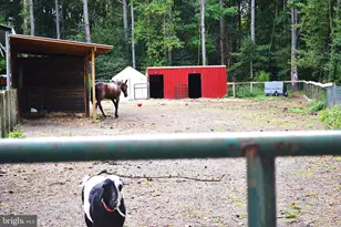 81 Pritchett Rd, Milford, DE 19963 - Photo 21