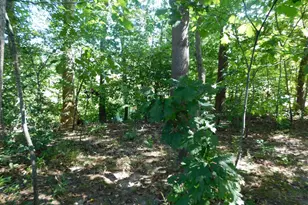 28 Baltray, Dover, DE 19904 - Photo 67